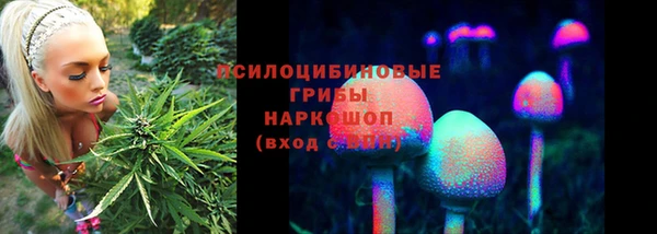 гидра Белоозёрский