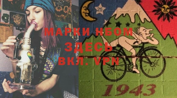 гидра Белоозёрский