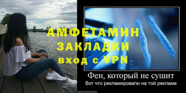 прущие грибы Беломорск