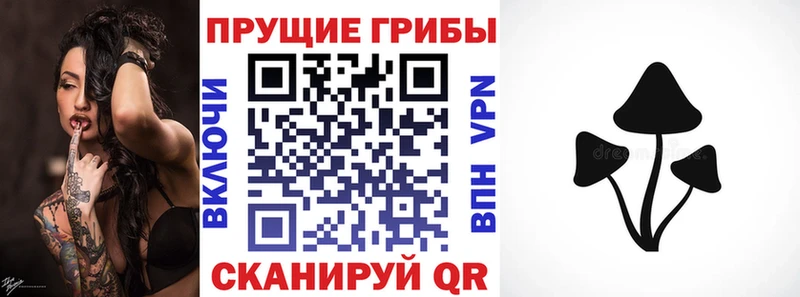 Псилоцибиновые грибы Psilocybe  сколько стоит  Соль-Илецк 